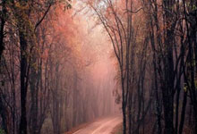 结束非洲行，王毅没直接回国，专机降落印度邻国，马总统对华交底.