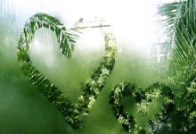 [冰雪]全国雪车和钢架雪车锦标赛22日开赛.